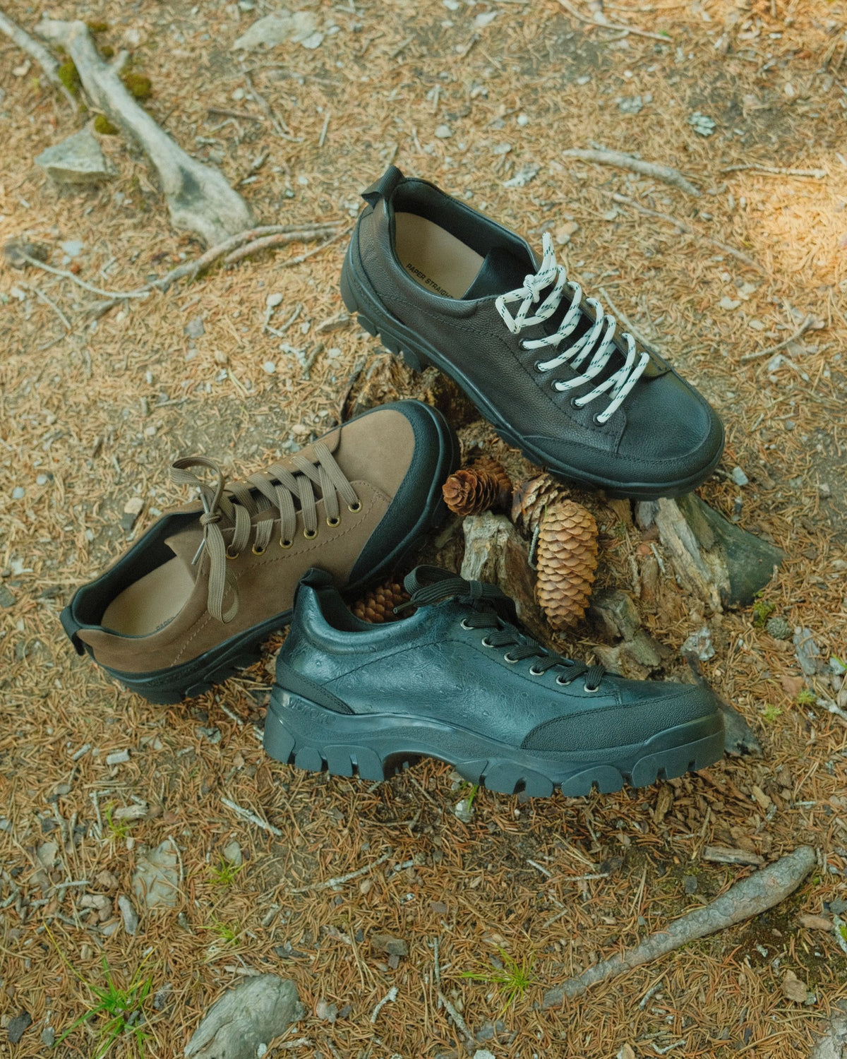 Paper Straight Alpine Hiker in Brown, Black and Black Ostrich on the forest floor, Swiss Alps
